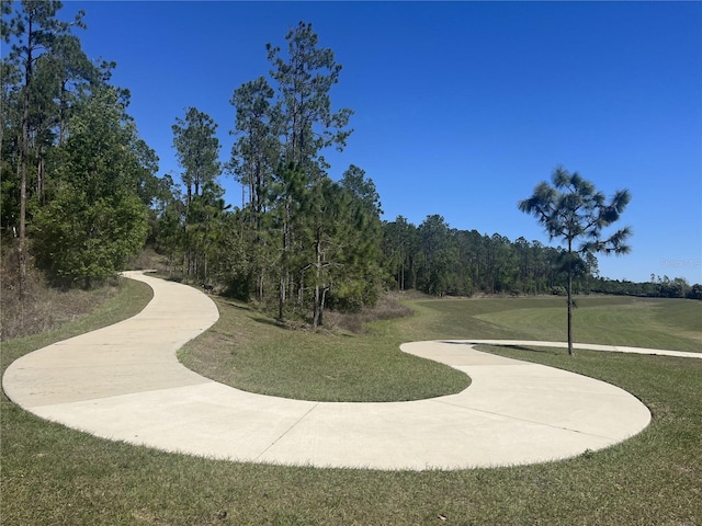 surrounding community featuring a yard