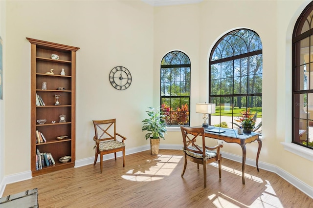 office with a high ceiling, baseboards, and wood finished floors