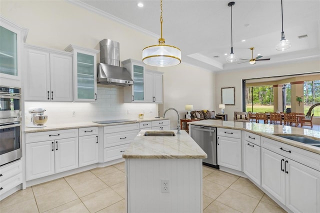 kitchen featuring appliances with stainless steel finishes, a raised ceiling, wall chimney exhaust hood, and a sink