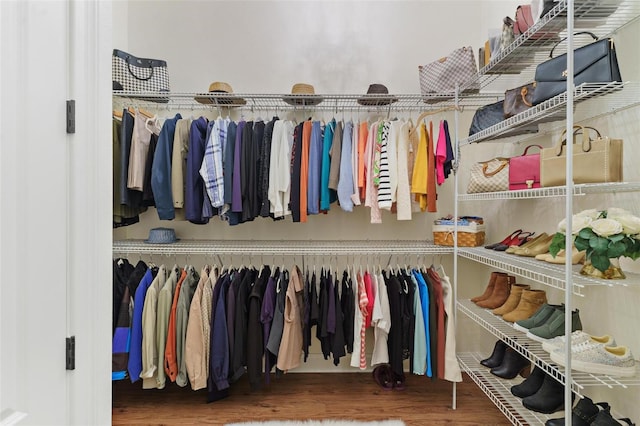 walk in closet featuring wood finished floors