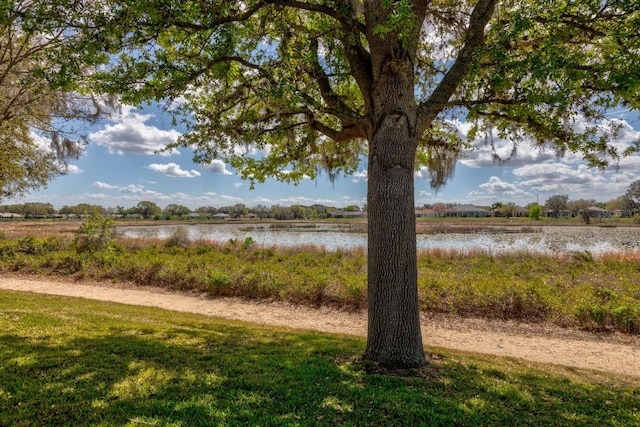 property view of water