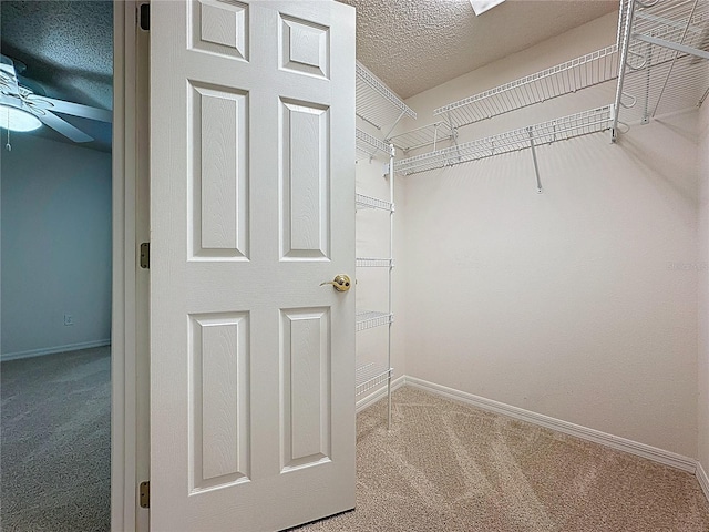 spacious closet with ceiling fan and carpet