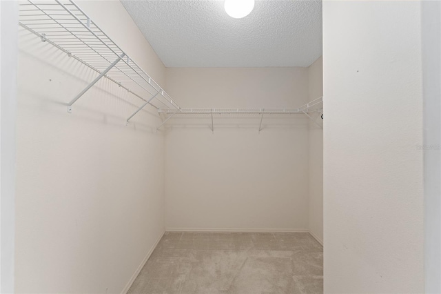 spacious closet with light carpet