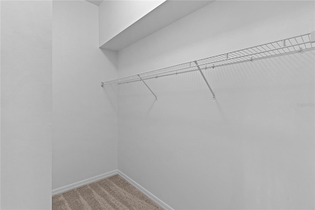 spacious closet with carpet