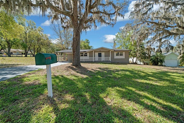 ranch-style house featuring a carport, concrete driveway, and a front yard