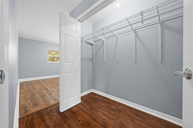 spacious closet featuring wood finished floors