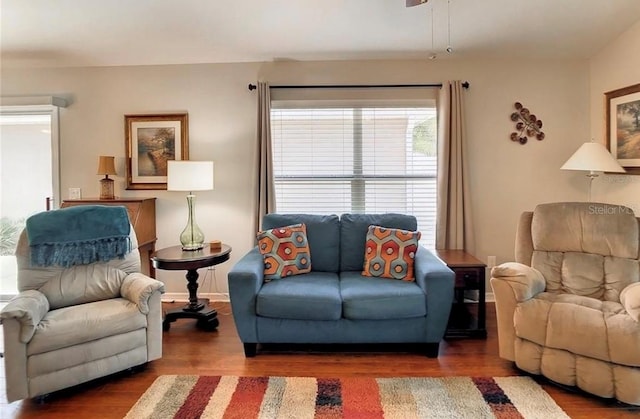 living room with baseboards and wood finished floors