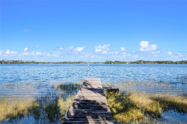 dock area with a water view