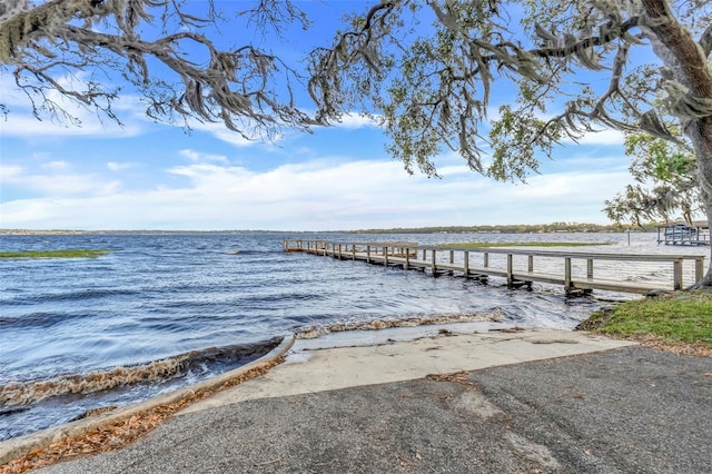 dock area with a water view