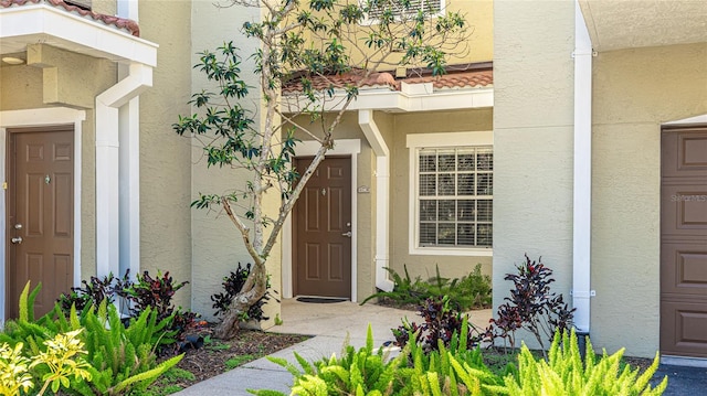 view of exterior entry with stucco siding