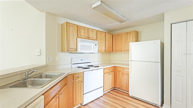 kitchen featuring light brown cabinetry, light countertops, light wood-style floors, white appliances, and a sink