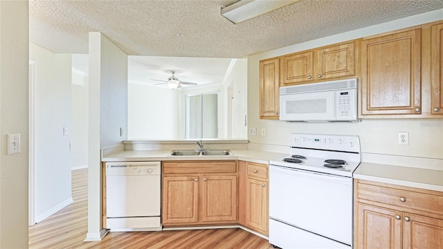 kitchen with a sink, light wood-type flooring, white appliances, and light countertops