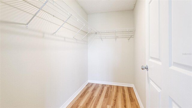 walk in closet with light wood-style flooring