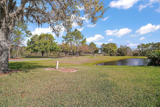 view of yard with a water view