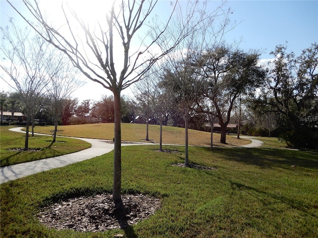 view of property's community with a lawn