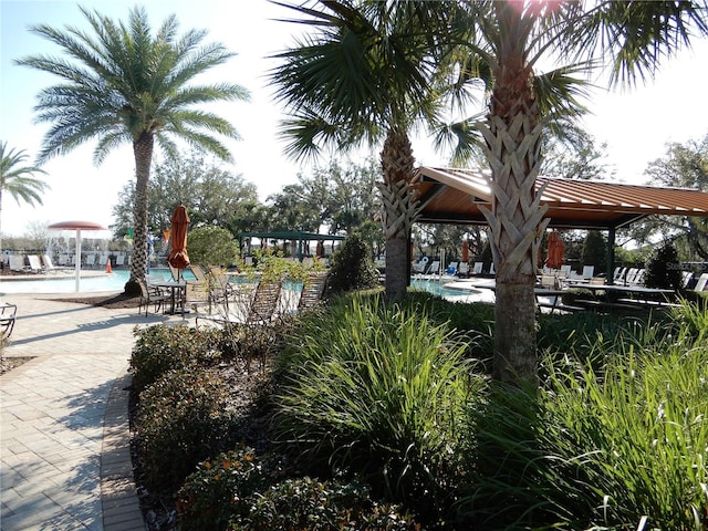 surrounding community with a gazebo, a patio, and a swimming pool