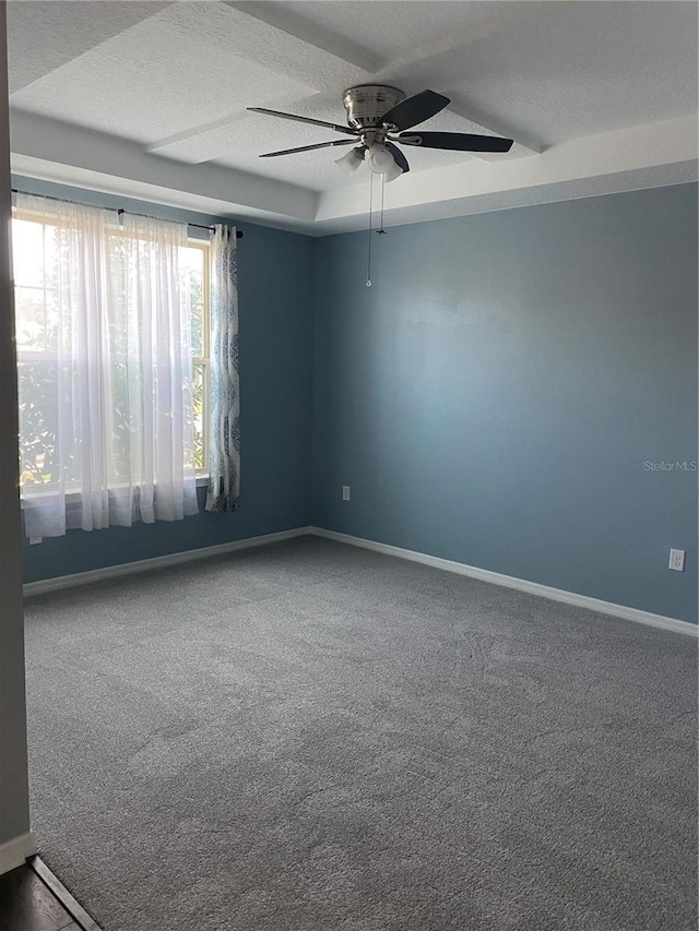 spare room with a textured ceiling, a tray ceiling, carpet, and baseboards