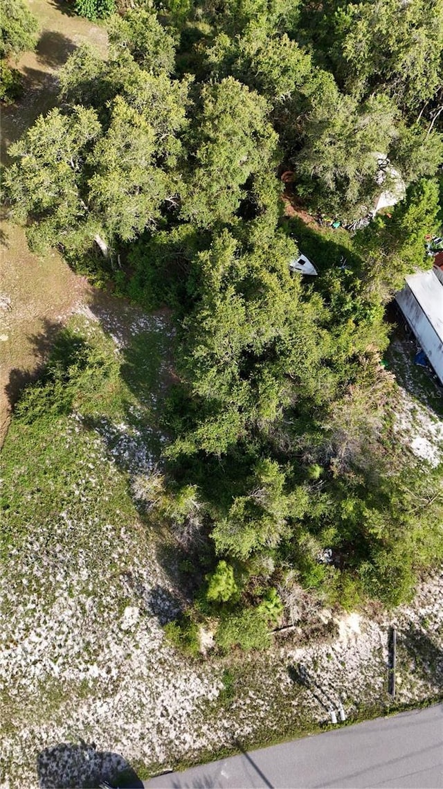 31324 Benton Dr, Eustis, FL 32736 - photo 2