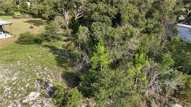 31324 Benton Dr, Eustis, FL 32736 - photo 3