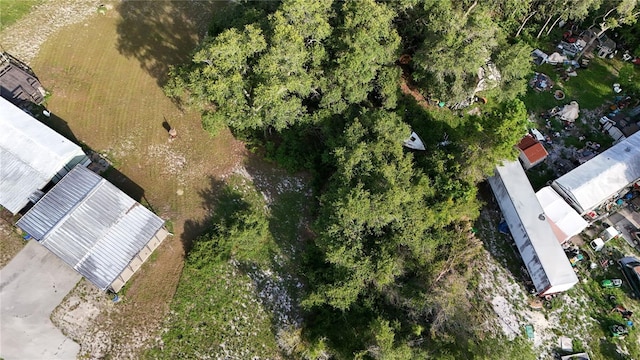 31324 Benton Dr, Eustis, FL 32736 - photo 4