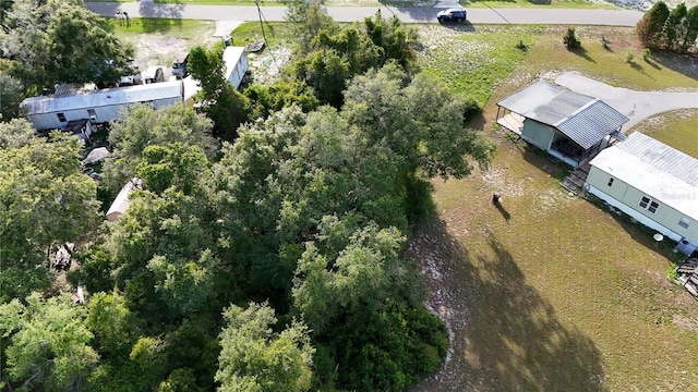 31324 Benton Dr, Eustis, FL 32736 - photo 5
