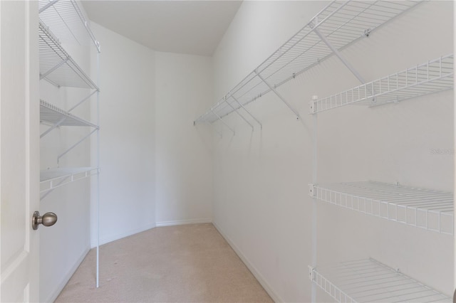 spacious closet with carpet