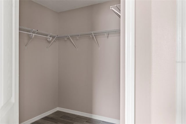 walk in closet featuring dark wood-type flooring