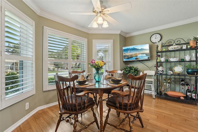 dining space with light wood finished floors, a textured ceiling, a ceiling fan, and ornamental molding