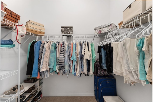 spacious closet featuring carpet flooring