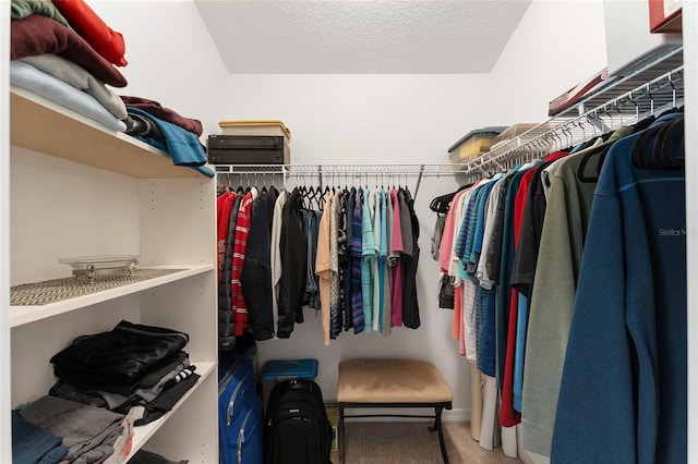 spacious closet featuring carpet