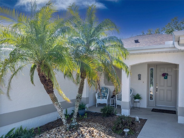 doorway to property featuring covered porch, roof with shingles, and stucco siding