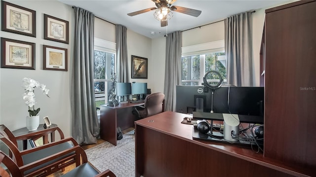 12117 Cypress Ln, Clermont, FL 34711 - office space featuring healthy amount of natural light and ceiling fan