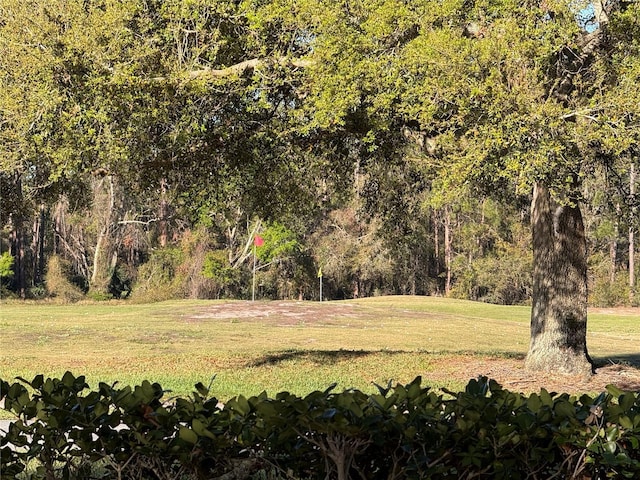 view of landscape featuring a wooded view