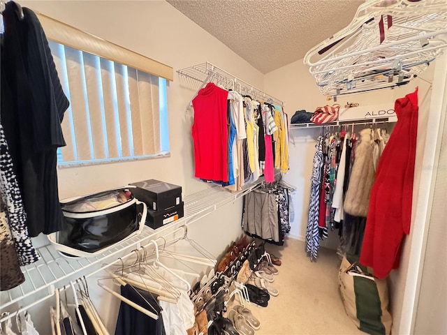 spacious closet with carpet