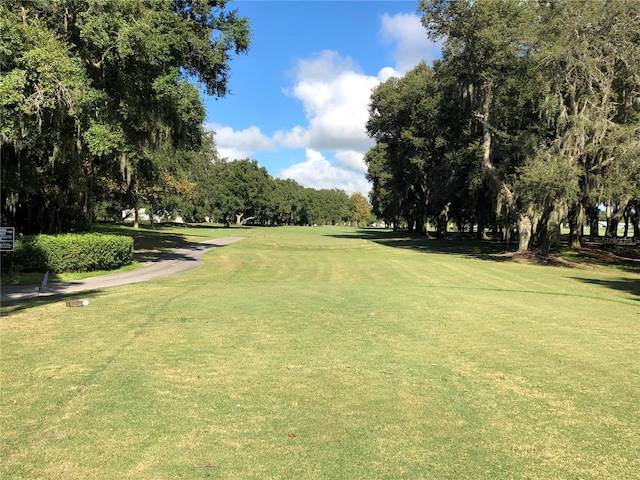 view of home's community featuring a yard