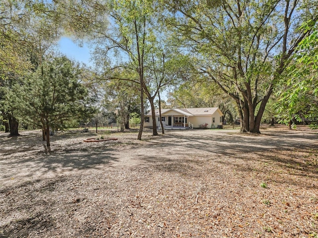 view of yard featuring driveway