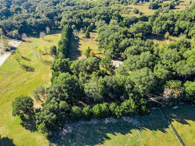 bird's eye view with a view of trees