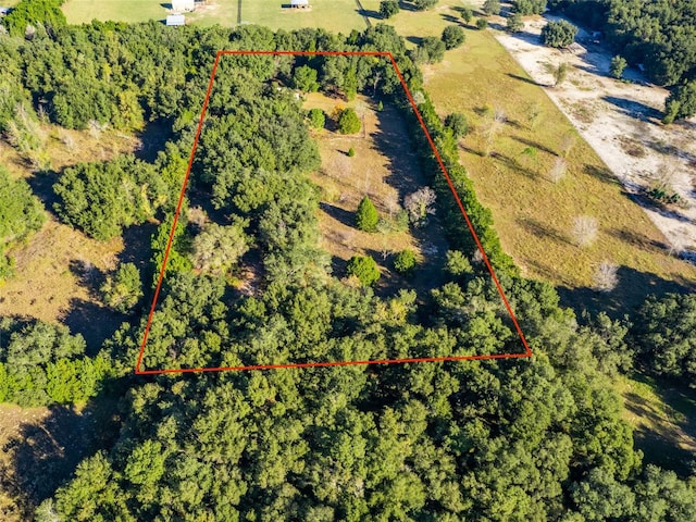 birds eye view of property featuring a view of trees