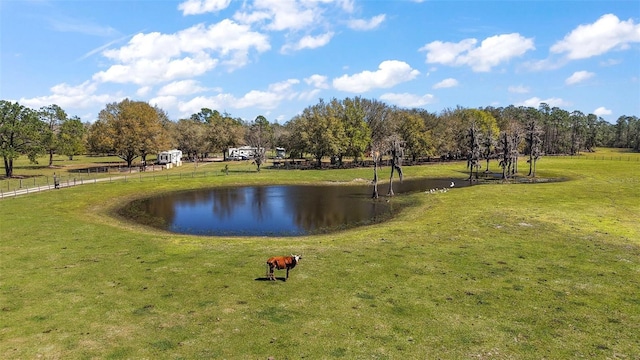 view of home's community with a yard and a water view