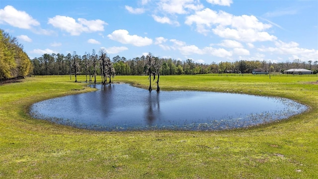 property view of water with a view of trees