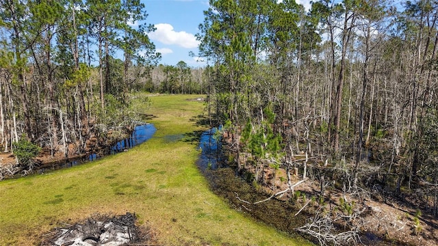 view of yard featuring a forest view