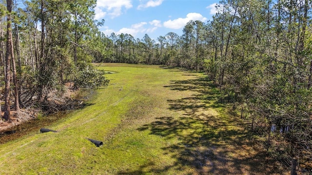 view of local wilderness featuring a forest view