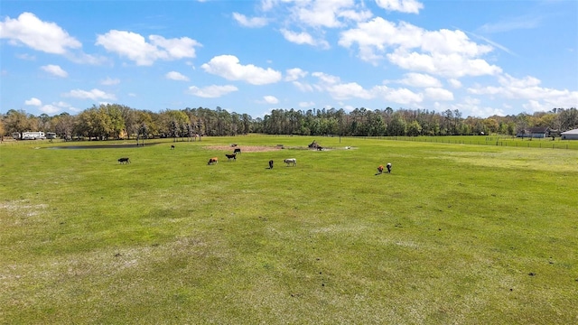 view of property's community with a rural view and a lawn