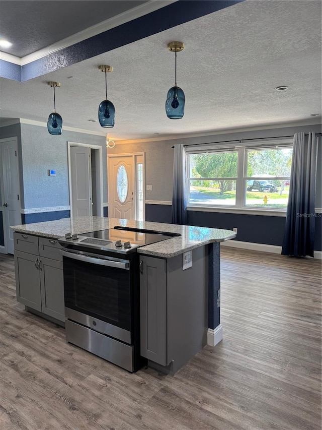 kitchen with wood finished floors, gray cabinets, a center island, and stainless steel electric stove