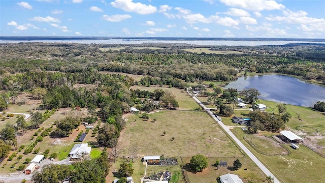 birds eye view of property with a forest view and a water view