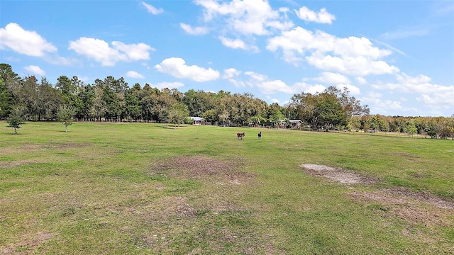 view of yard featuring a rural view