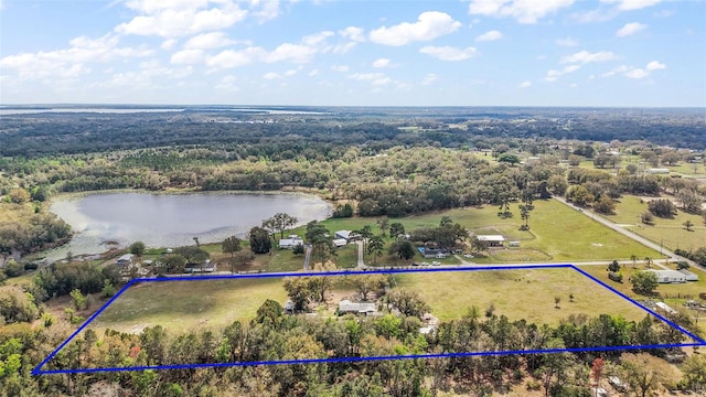 aerial view with a water view and a view of trees