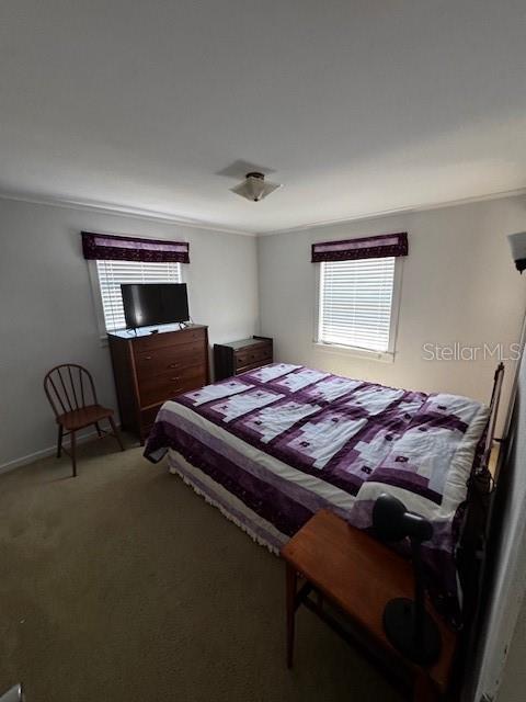 carpeted bedroom with crown molding, multiple windows, and baseboards