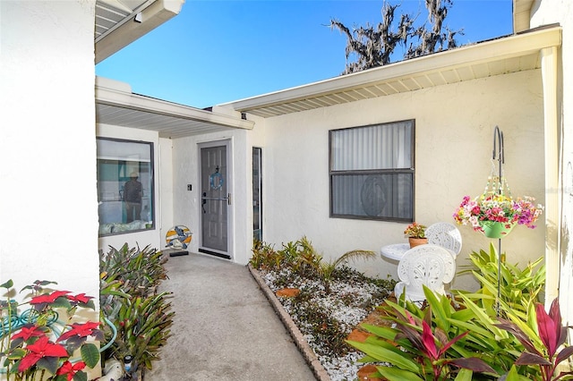 view of exterior entry featuring stucco siding