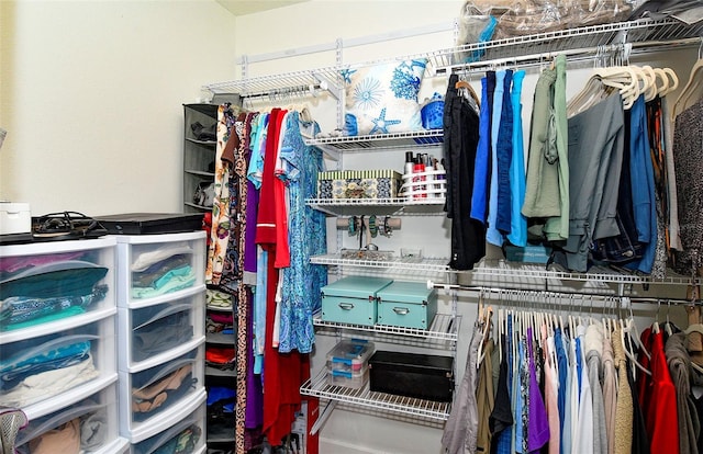 view of spacious closet